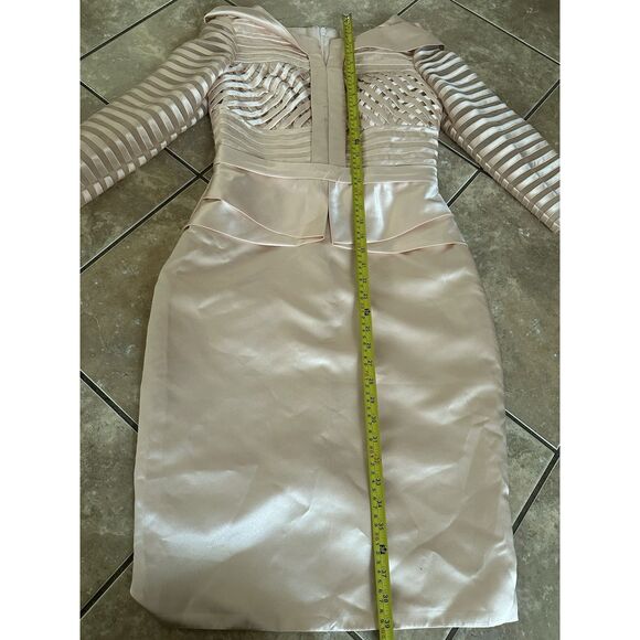 New LAN Ting TS Couture 6-8 Structured Satin Link Pink Dress Formal - Picture 5 of 8